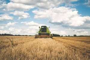 Fermierii cer premierului să revină asupra unui act normativ care prevede tăieri de peste 50% din sumele pe care le vor primi în 2021